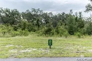 1417 Oxford Preserve Trail, Oxford, FL 34484
