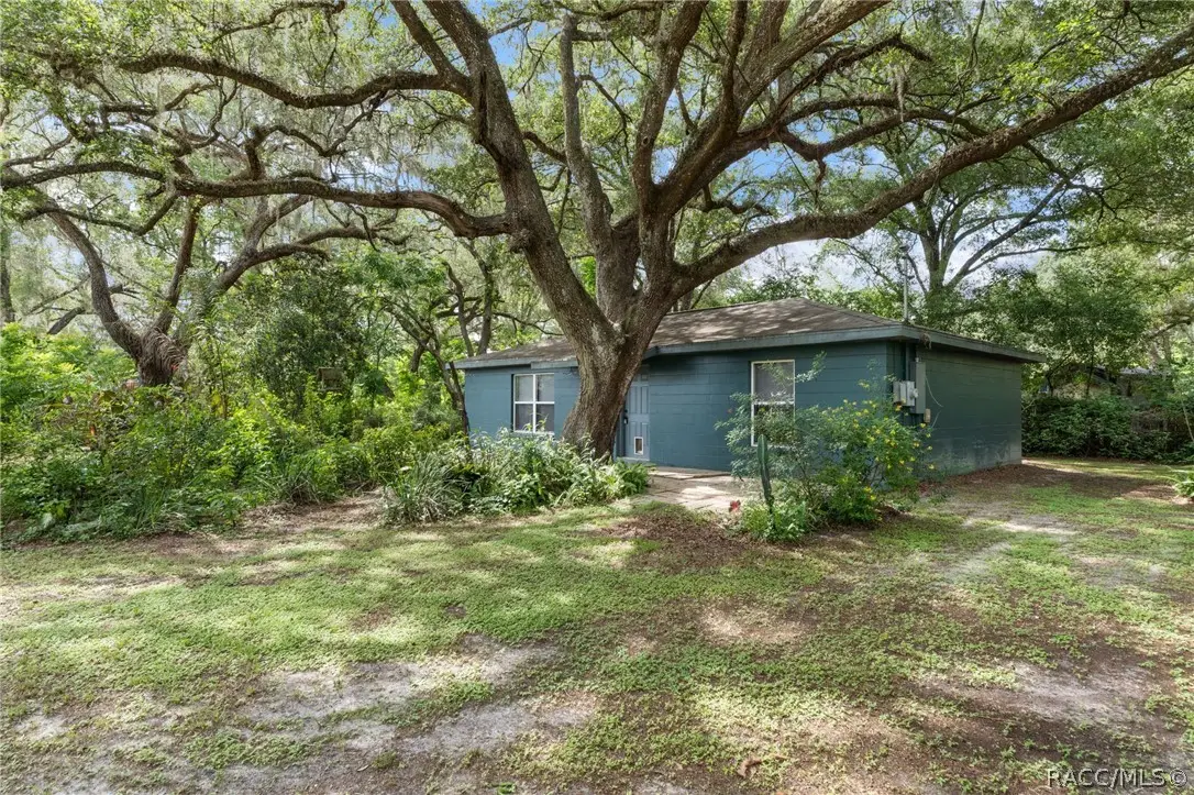 1317 Carl Street, Inverness, FL 34453 - #1