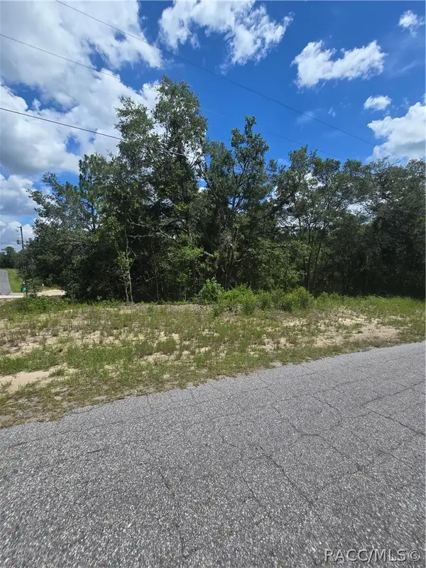 2485 W Braganza Street, Dunnellon, FL 34433