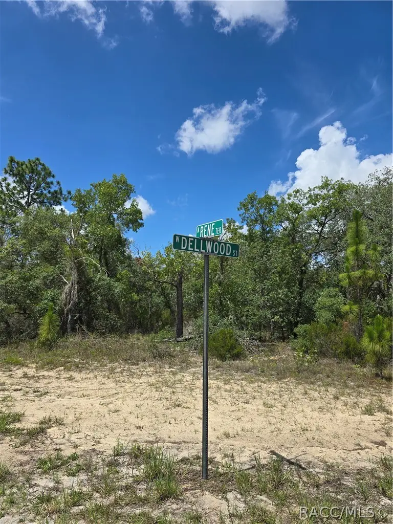 2942 W Dellwood Street, Dunnellon, FL 34433 - #1