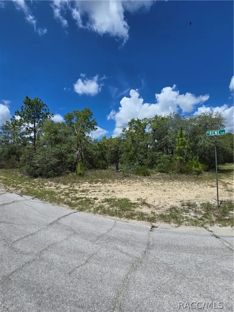 2942 W Dellwood Street, Dunnellon, FL 34433 - #2
