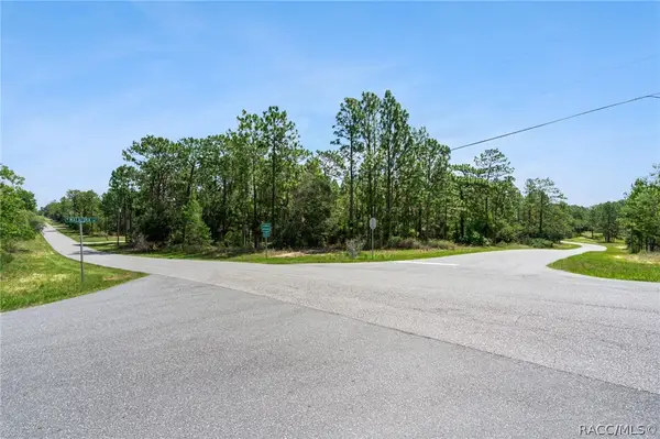 4181 W Malaluka Circle, Citrus Springs, FL 34433