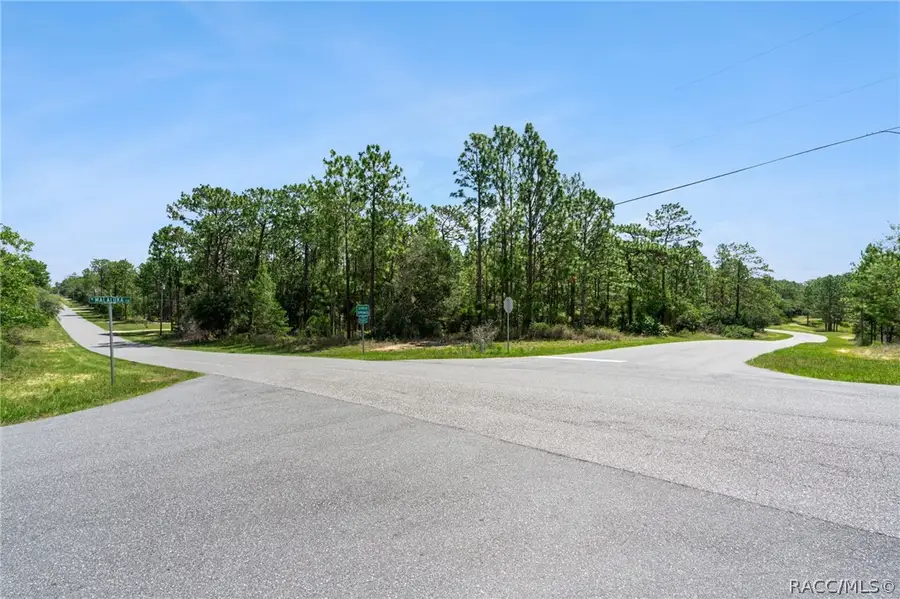 4181 W Malaluka Circle, Citrus Springs, FL 34433 - #2