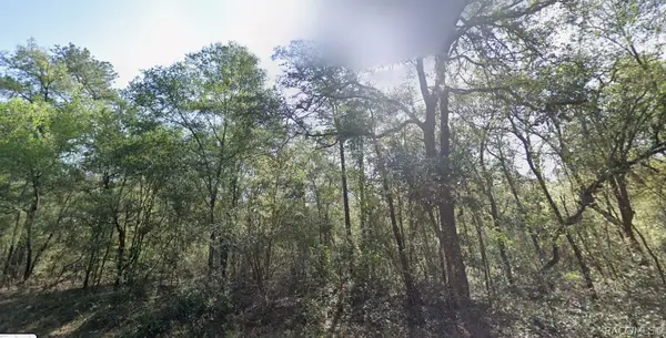 9333 N Kirkland Terrace, Dunnellon, FL 34434