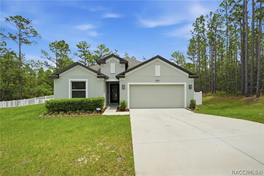 39 Milbark Drive, Homosassa, FL 34446 - #2