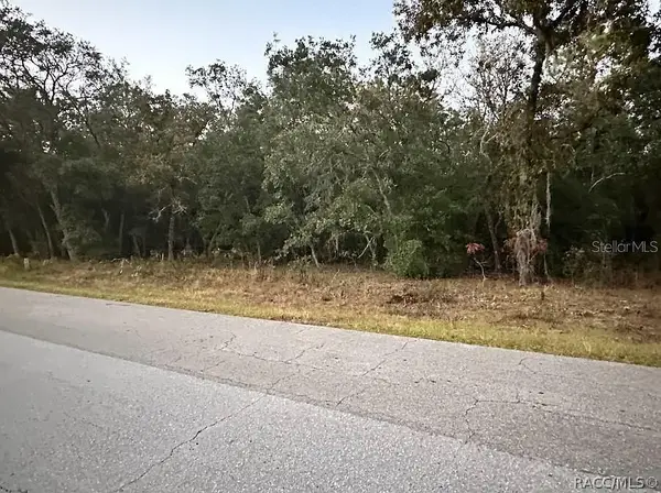 861 W Olympia Street, Hernando, FL 34442