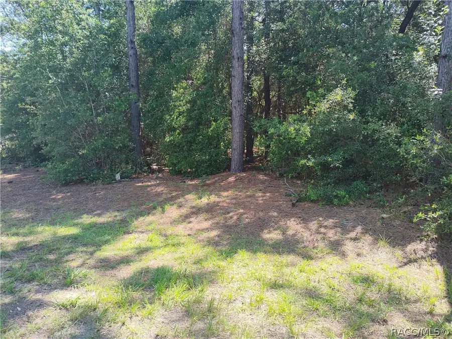 8646 N Buscetta Loop, Crystal River, FL 34428 - #2