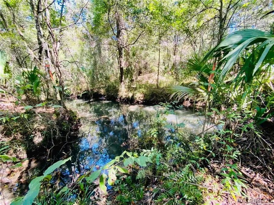 9302 W Tall Pines Court, Crystal River, FL 34428 - #2