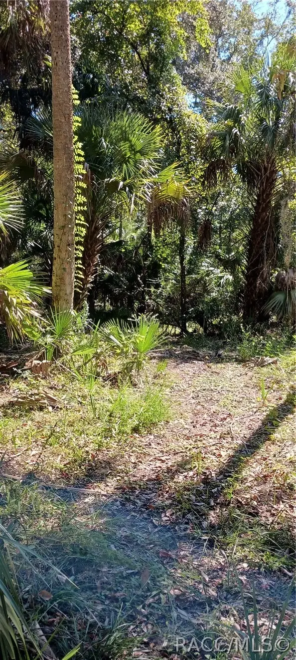 9302 W Tall Pines Court, Crystal River, FL 34428 - #3