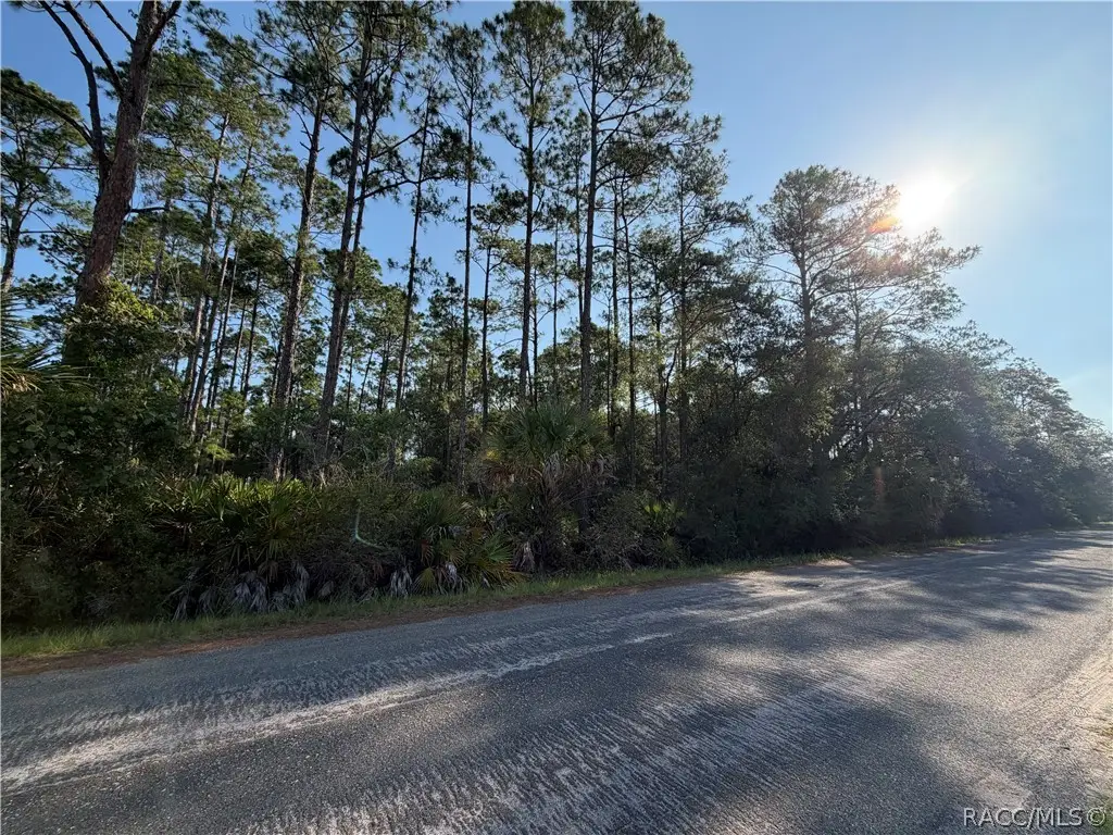 11023 W Acacia Drive, Crystal River, FL 34428 - #1