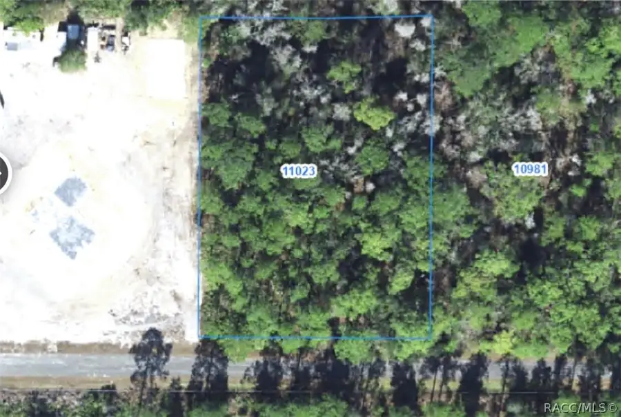 11023 W Acacia Drive, Crystal River, FL 34428 - #3