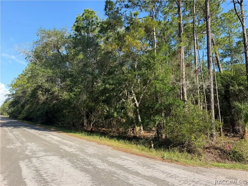 10981 W Acacia Drive, Crystal River, FL 34428 - #1