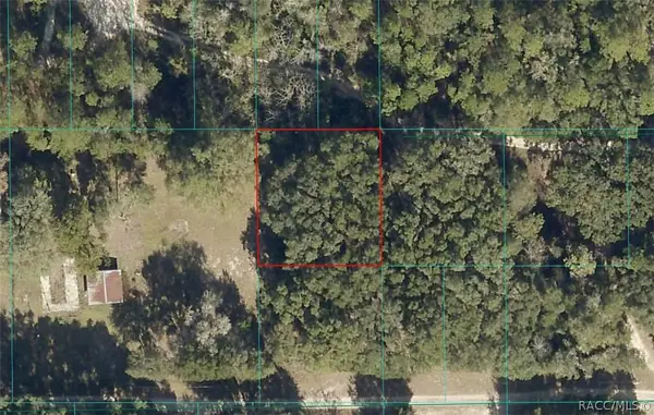 00 NE 164 Lane, Citra, FL 32113