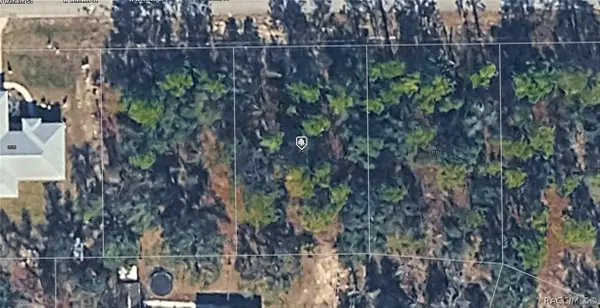 3192 W Wilhelm Street, Citrus Springs, FL 34433