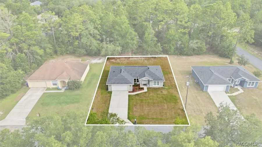 2979 W Akron Place, Dunnellon, FL 34433 - #2
