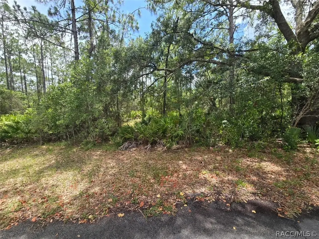 28 Mangrove Court S, Homosassa, FL 34446 - #1