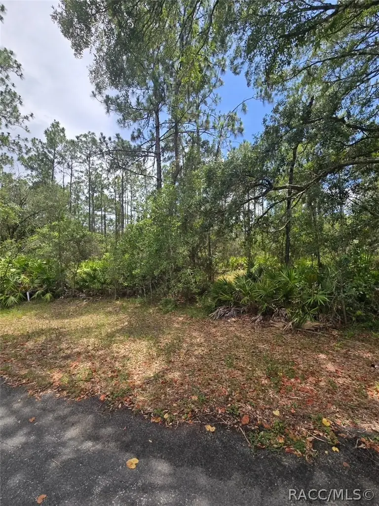 28 Mangrove Court S, Homosassa, FL 34446 - #3
