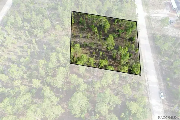 0000 NE 131st Lot 6 Terrace, Williston, FL 32696