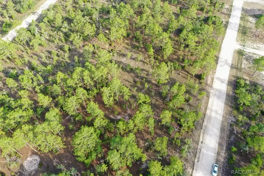0000 NE 131st Lot 6 Terrace, Williston, FL 32696 - #2