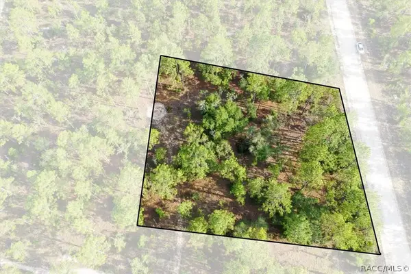0000 NE 131st Lot 9 Terrace, Williston, FL 32696