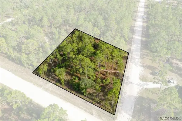 0000 NE 131st Lot 10 Terrace, Williston, FL 32696