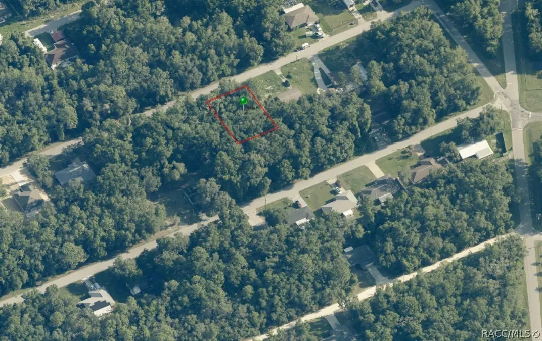 3732 E Johnson Place, Inverness, FL 34453 - #1