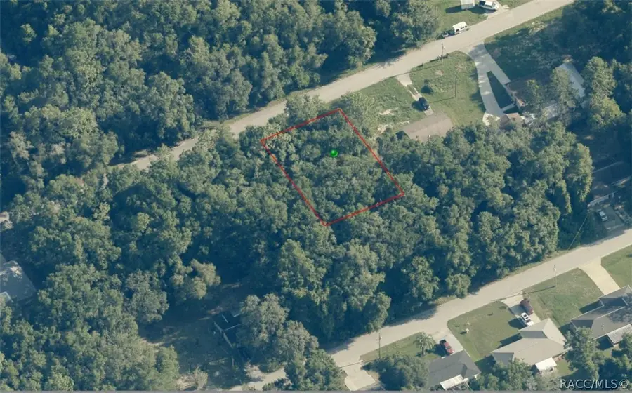 3732 E Johnson Place, Inverness, FL 34453 - #2