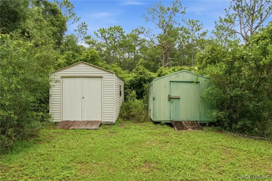 9955 S Forestline Avenue, Inverness, FL 34452 - #3