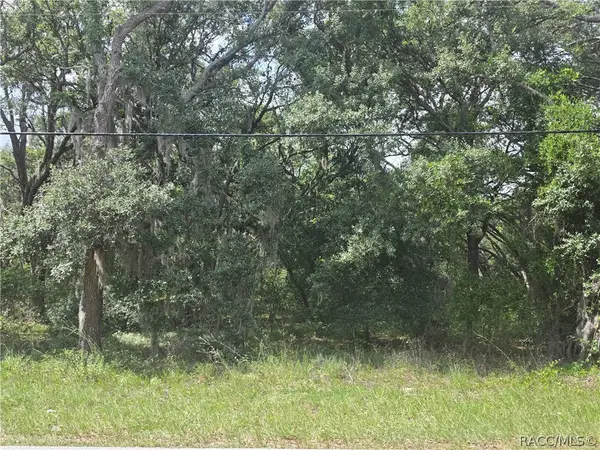135 W Pearson Street, Hernando, FL 34442