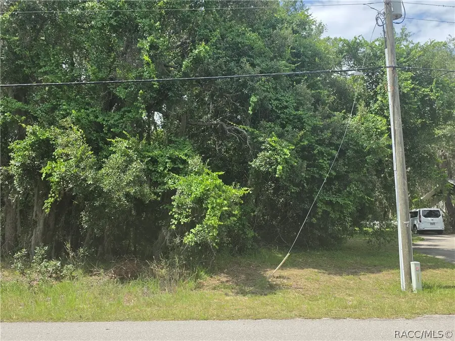 135 W Pearson Street, Hernando, FL 34442 - #3