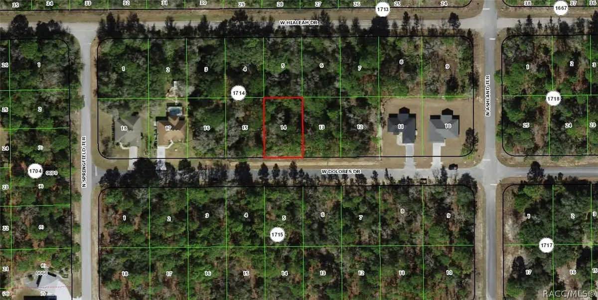 1625 W Dolores Drive, Citrus Springs, FL 34434 - #1