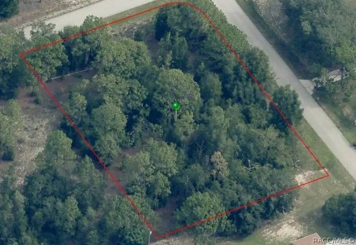 2004 W Huntington Drive, Beverly Hills, FL 34465 - #1