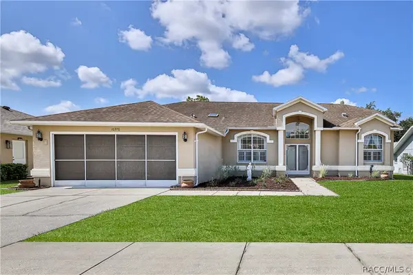 10376 Henderson Street, Spring Hill, FL 34608
