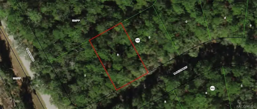 9183 N Anton Way, Citrus Springs, FL 34434 - #2