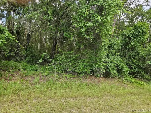 4912 E Cristen Court, Inverness, FL 34452