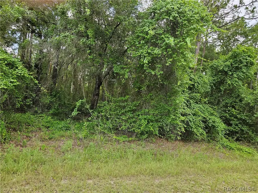 4912 E Cristen Court, Inverness, FL 34452 - #2