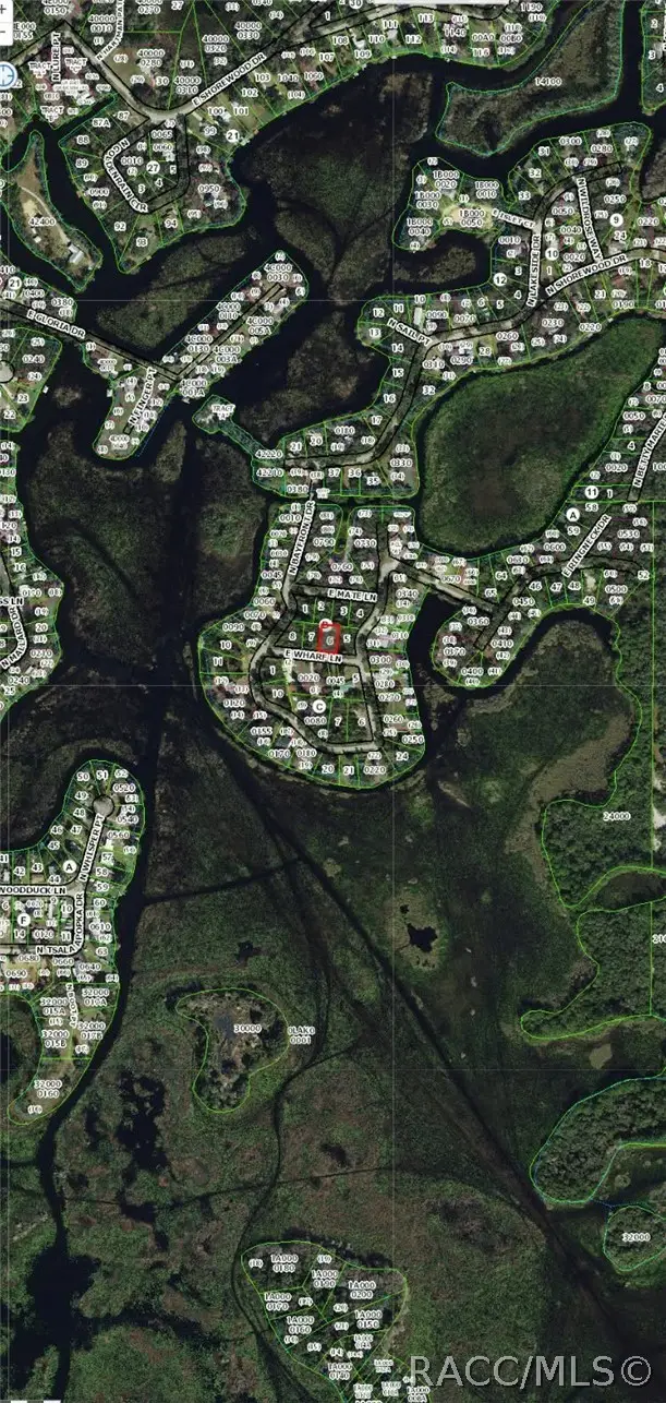 4375 E Wharf Lane, Hernando, FL 34442 - #2