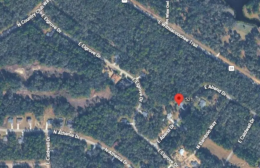 521 E Abend Drive, Citrus Springs, FL 34434 - #1