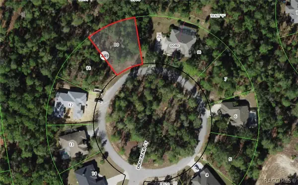 13 Dracaena Court, Homosassa, FL 34446