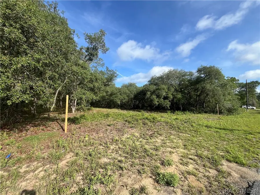 6990 N Lime Drive, Citrus Springs, FL 34433 - #2
