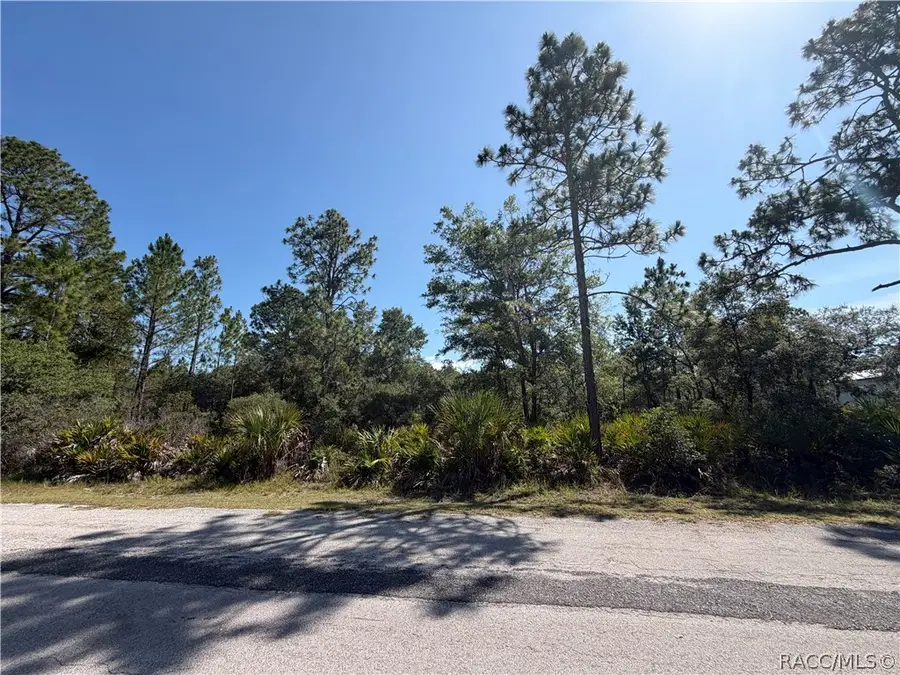 11887 W Flaxen Drive, Crystal River, FL 34428 - #3