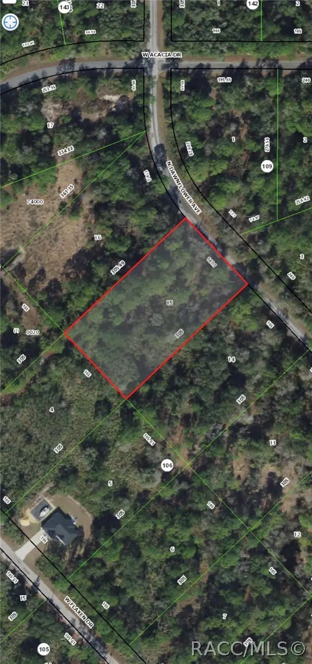 9614 N Dawnflower Avenue, Crystal River, FL 34428 - #1