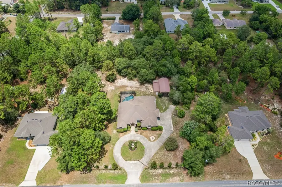 4847 W Geyser Court, Beverly Hills, FL 34465 - #2