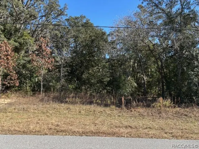 525 N Fresno Avenue, Hernando, FL 34442 - #1