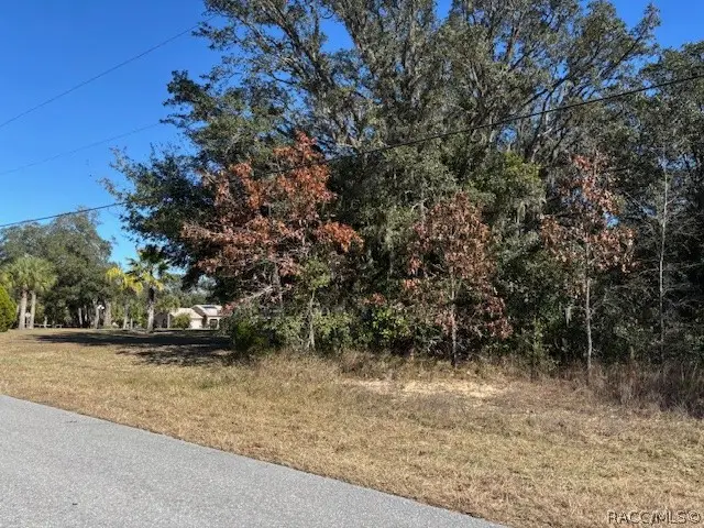 525 N Fresno Avenue, Hernando, FL 34442 - #2