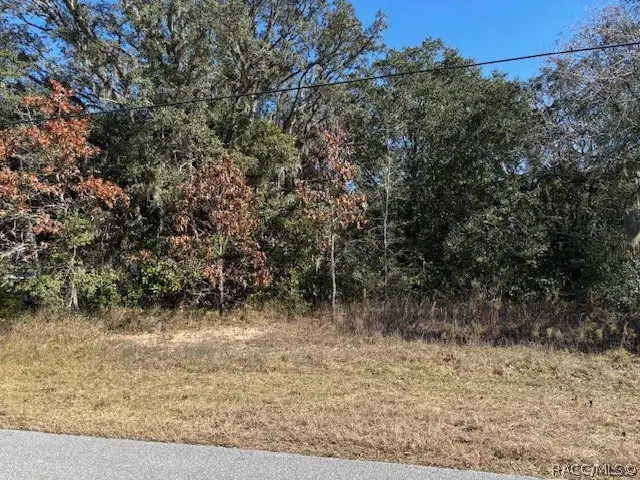 525 N Fresno Avenue, Hernando, FL 34442 - #3