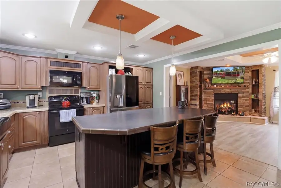 1391 S Gettysburg Drive, Homosassa, FL 34448 - #3