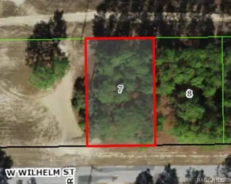 3131 W Wilhelm Street, Citrus Springs, FL 34433