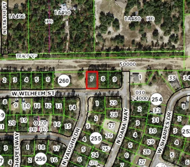 3131 W Wilhelm Street, Citrus Springs, FL 34433 - #3