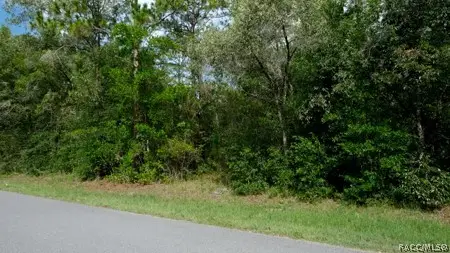 10554 N Haitian Drive, Citrus Springs, FL 34434